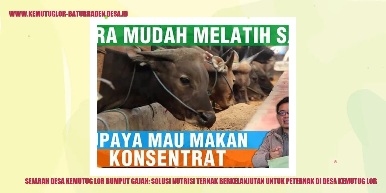 Rumput Gajah