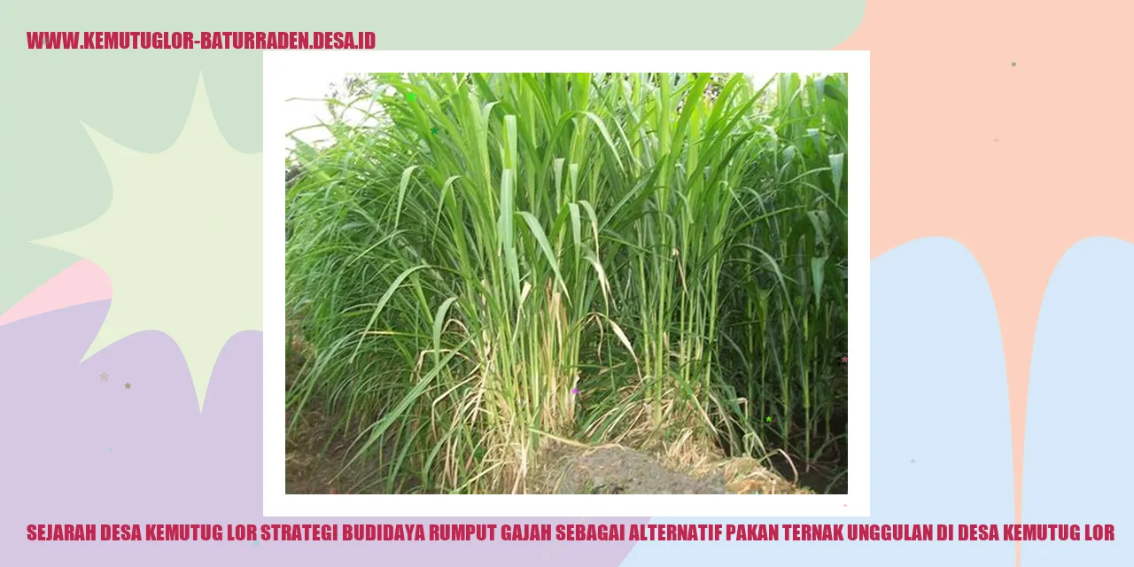Desa Kemutug Lor