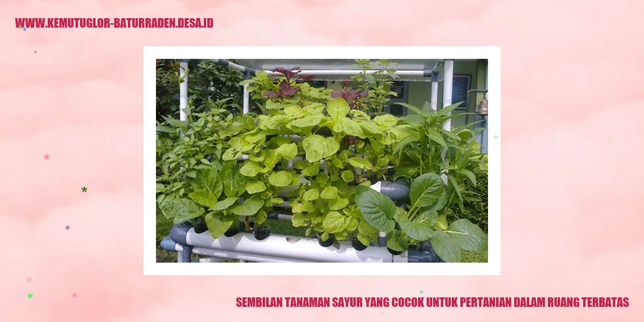 Tanaman Sayur