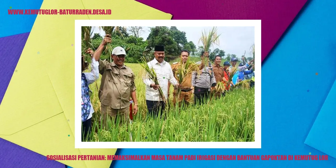 Sosialisasi Pertanian: Memaksimalkan Masa Tanam Padi Irigasi dengan Bantuan Gapoktan di kemutug lor