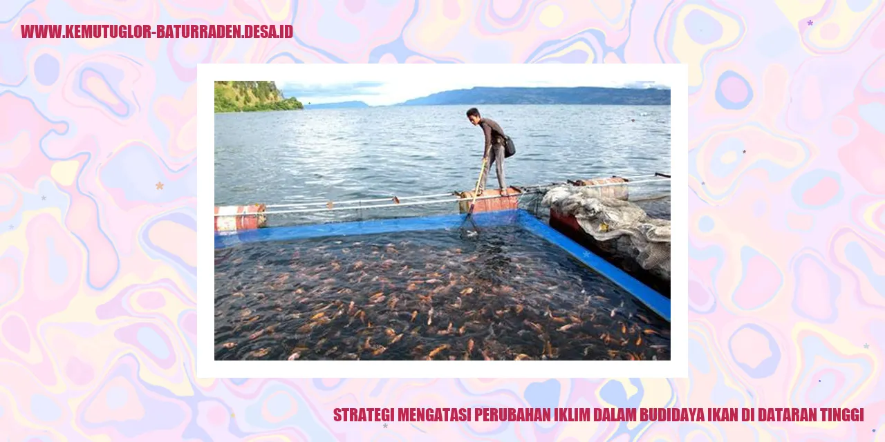 budidaya ikan di dataran tinggi