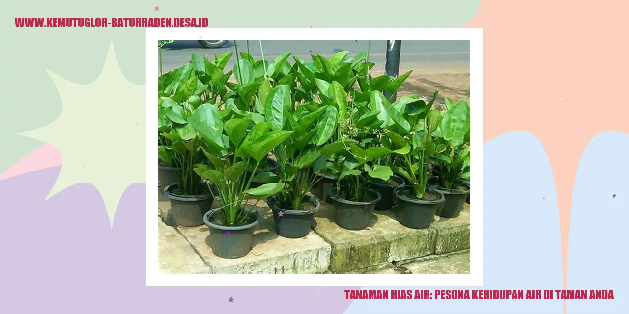 Tanaman Hias Air: Pesona Kehidupan Air di Taman Anda