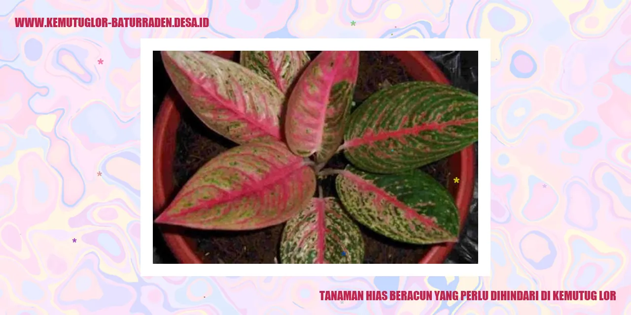 Tanaman Hias Beracun