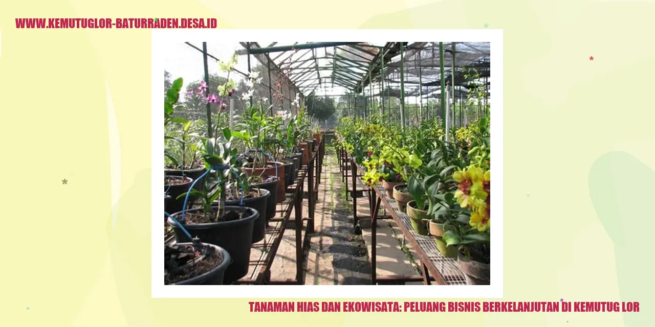 Tanaman Hias dan Ekowisata: Peluang Bisnis Berkelanjutan di Kemutug Lor