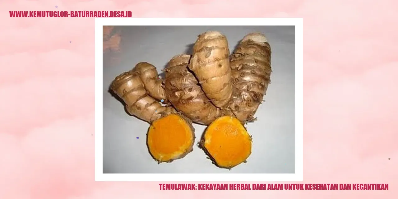 Temulawak: Kekayaan Herbal dari Alam untuk Kesehatan dan Kecantikan