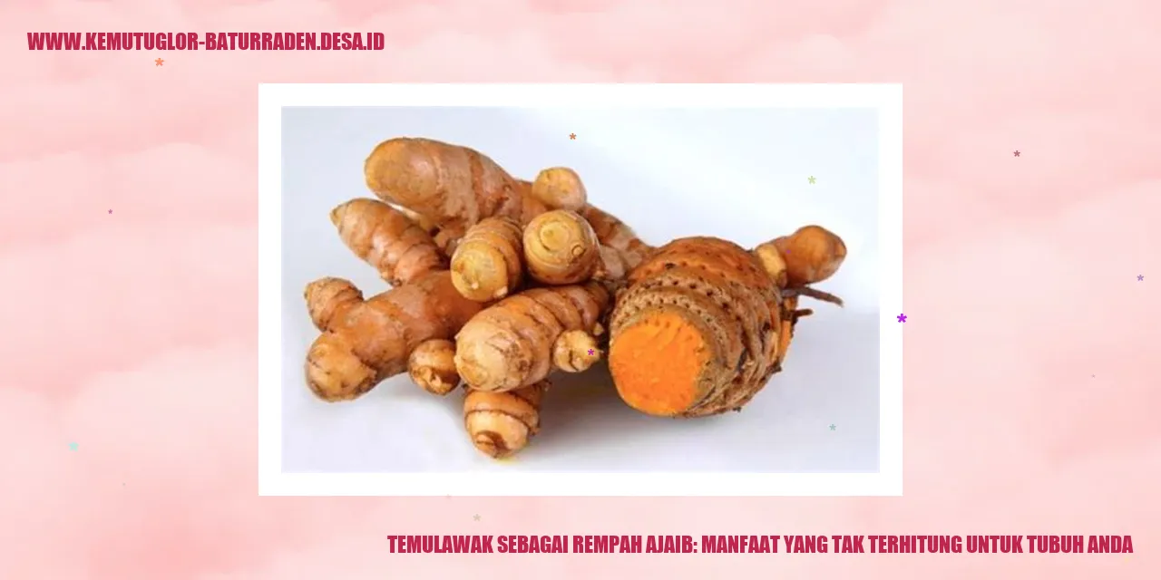 Temulawak sebagai Rempah Ajaib: Manfaat yang Tak Terhitung untuk Tubuh Anda
