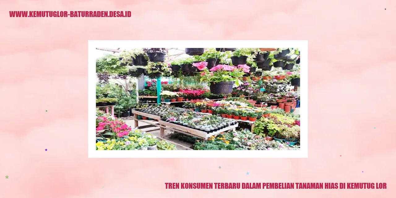 Gambar Tanaman Hias