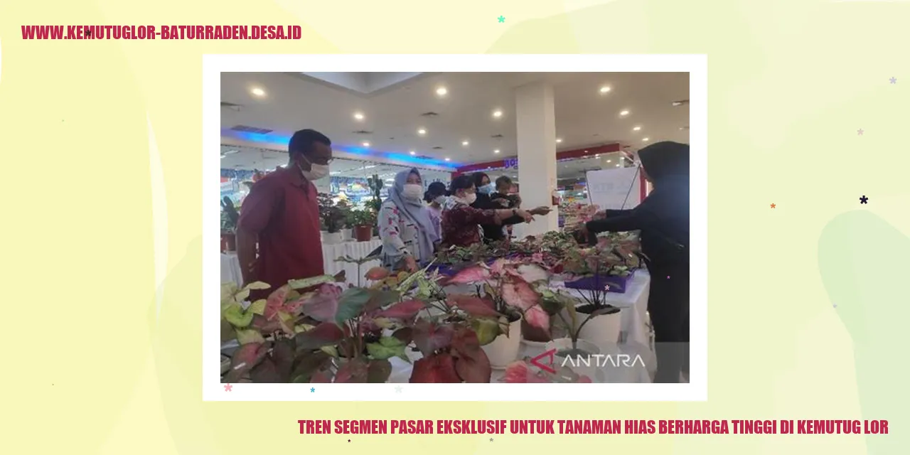 Tanaman Hias Berharga Tinggi