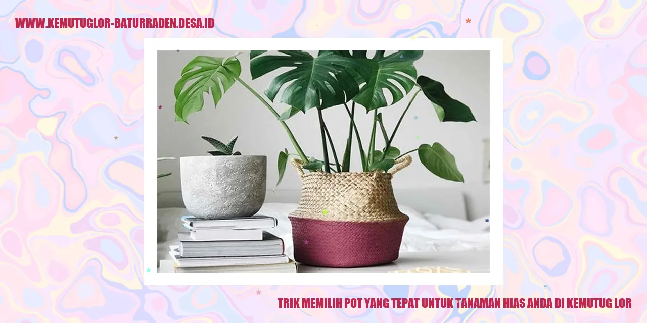 Pot Hias