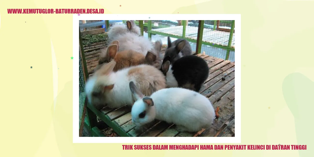 Trik Sukses dalam Menghadapi Hama dan Penyakit Kelinci di Datran Tinggi