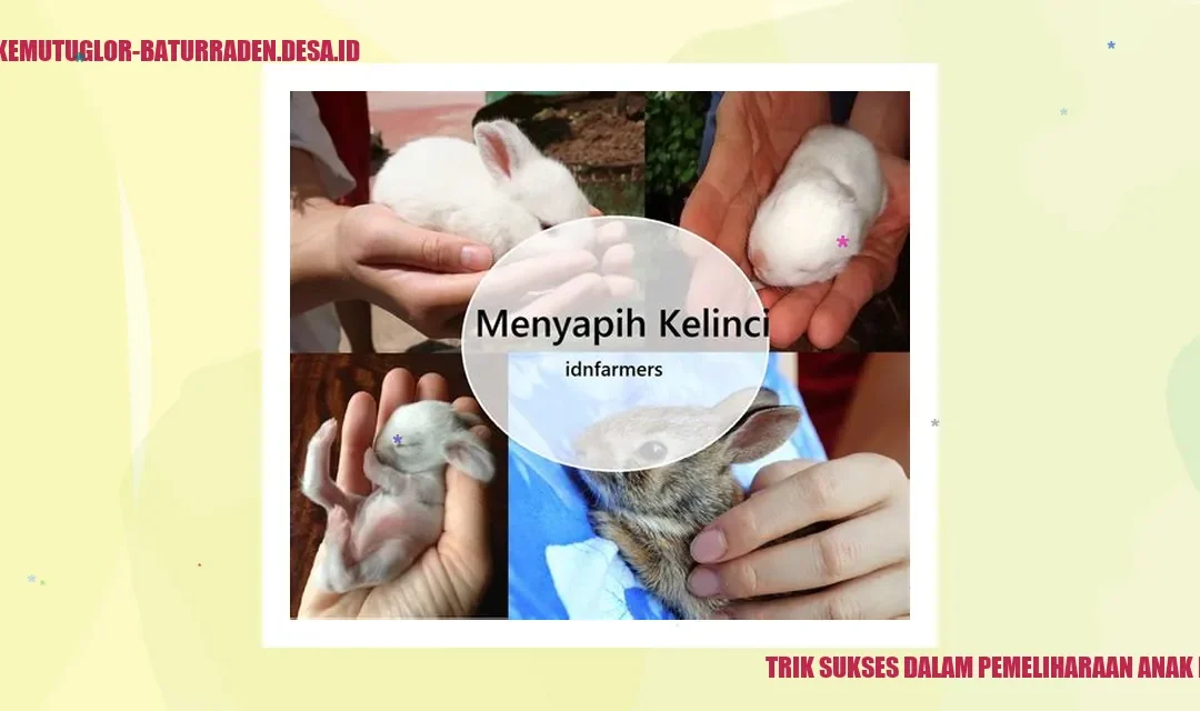 Trik Sukses dalam Pemeliharaan Anak Kelinci
