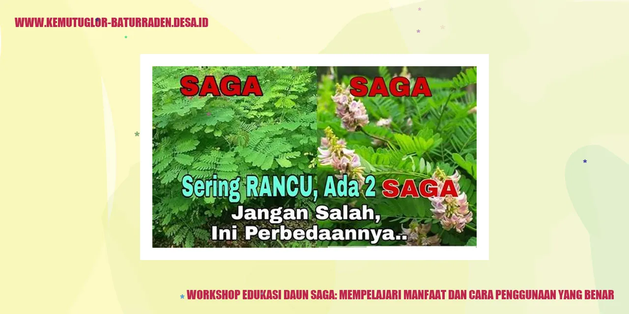 Workshop Edukasi Daun Saga: Mempelajari Manfaat dan Cara Penggunaan yang Benar