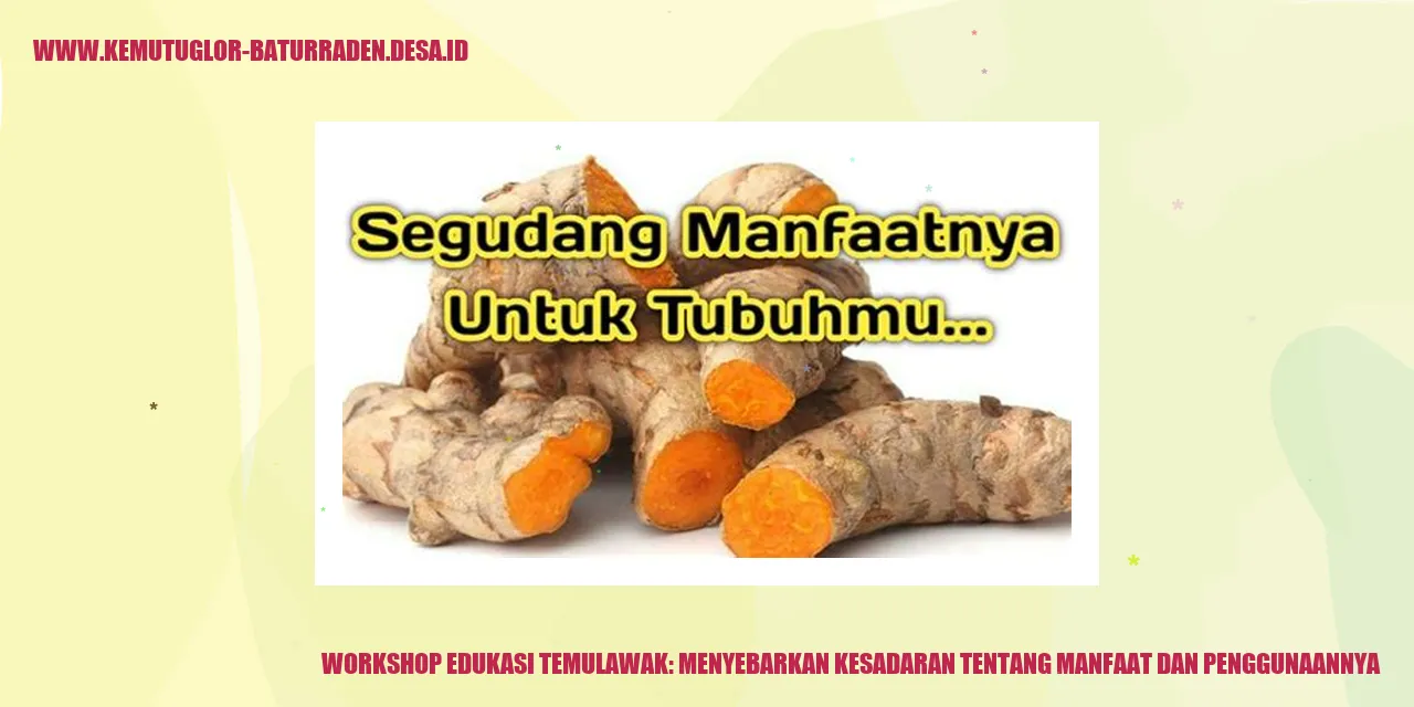 Workshop Edukasi Temulawak: Menyebarkan Kesadaran tentang Manfaat dan Penggunaannya